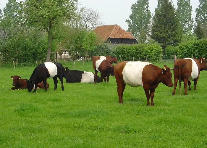De Hopbel & Het Koevinkje