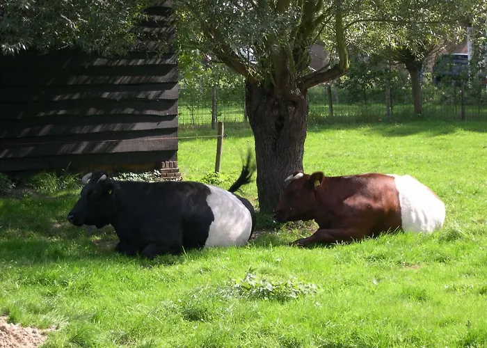 Holiday home De Hopbel & Het Koevinkje *