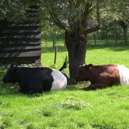 Hébergement de vacances De Hopbel & Het Koevinkje *